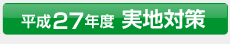 H27 1z{HǗZmni΍
