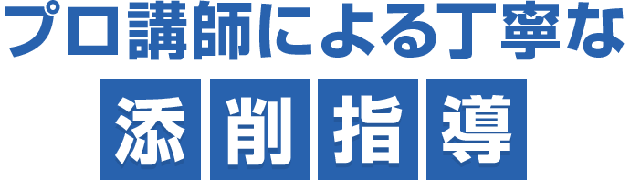 プロ講師による丁寧な添削指導