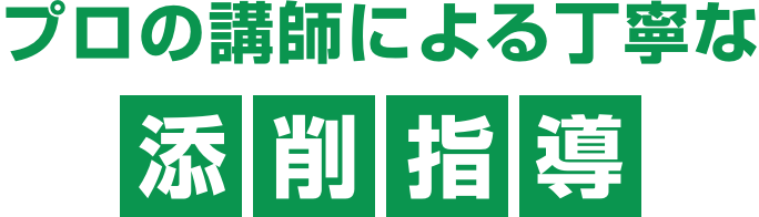 プロ講師による丁寧な添削指導