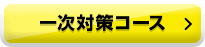 一次対策コース